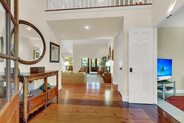 foyer entrance with a high ceiling and hardwood / wood-style flooring