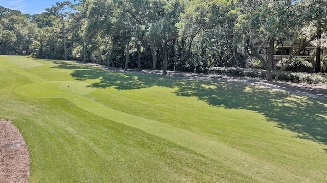 view of community featuring a lawn