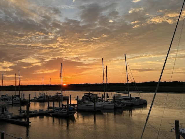 1948 Marsh Oak Ln, Seabrook Island, SC 29455 - water view featuring a boat dock