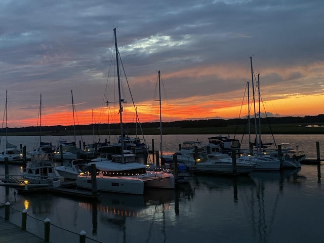 1948 Marsh Oak Ln, Seabrook Island, SC 29455 - water view with a boat dock