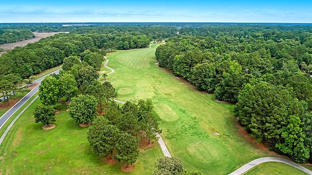 1720 Bowline Dr, Mount Pleasant, SC 29466 - view of property location featuring a golf course
