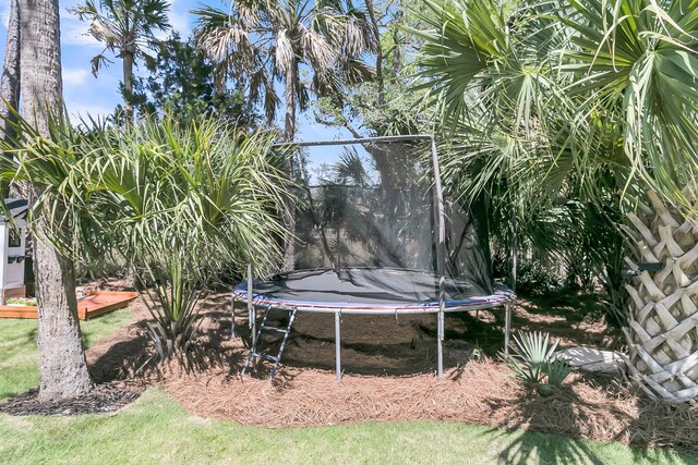1720 Bowline Dr, Mount Pleasant, SC 29466 - view of yard featuring a trampoline