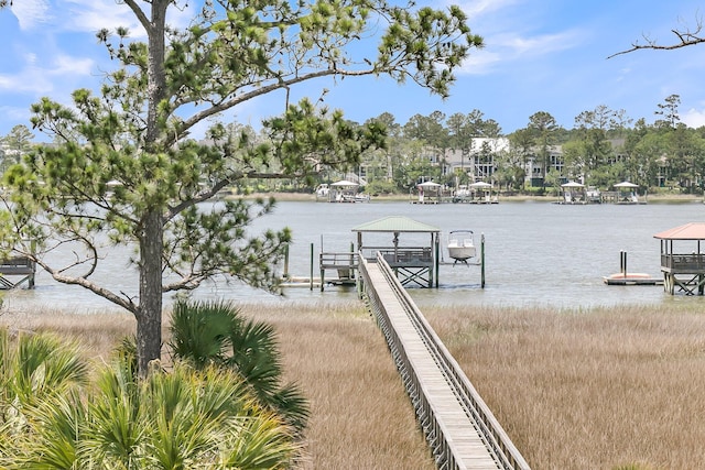 1720 Bowline Dr, Mount Pleasant, SC 29466 - dock with a water view