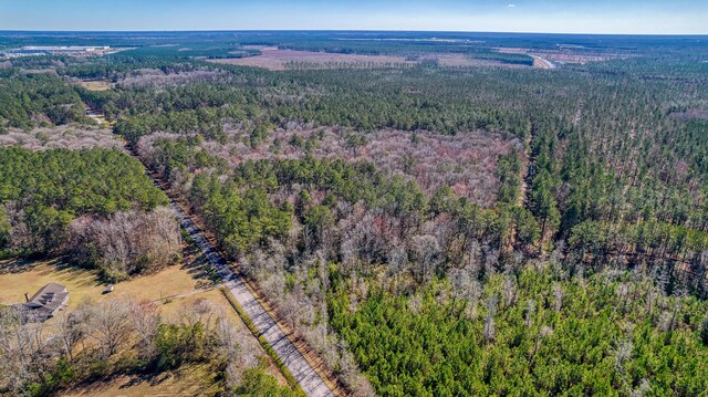 100 Fish Rd, Ridgeville, SC 29472 - birds eye view of property featuring a wooded view