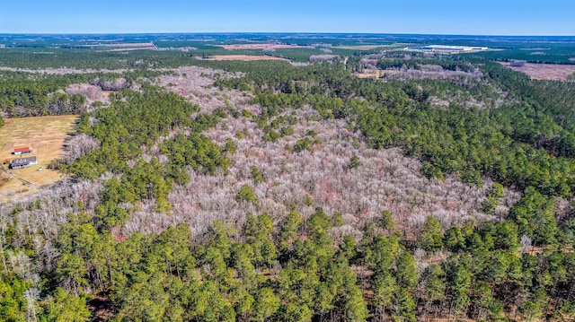 100 Fish Rd, Ridgeville, SC 29472 - drone / aerial view featuring a view of trees