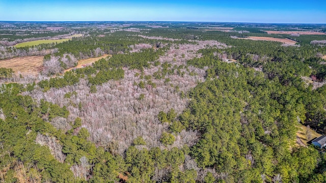 100 Fish Rd, Ridgeville, SC 29472 - aerial view with a wooded view
