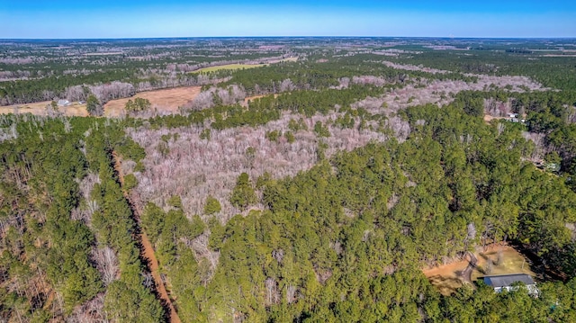 100 Fish Rd, Ridgeville, SC 29472 - drone / aerial view with a forest view