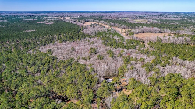 100 Fish Rd, Ridgeville, SC 29472 - aerial view featuring a view of trees
