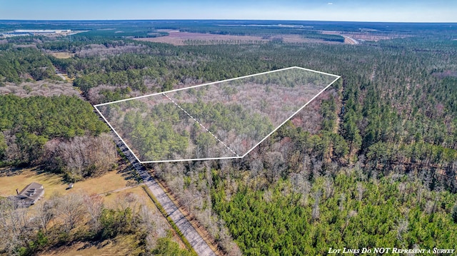 100 Fish Rd, Ridgeville, SC 29472 - drone / aerial view featuring a view of trees