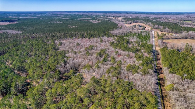 100 Fish Rd, Ridgeville, SC 29472 - birds eye view of property featuring a forest view
