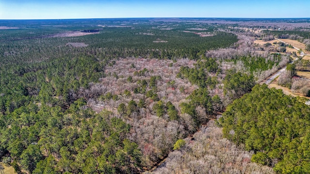 100 Fish Rd, Ridgeville, SC 29472 - bird's eye view featuring a wooded view