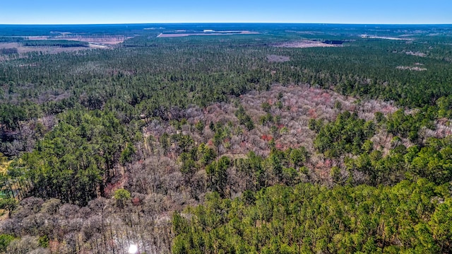 100 Fish Rd, Ridgeville, SC 29472 - birds eye view of property featuring a view of trees