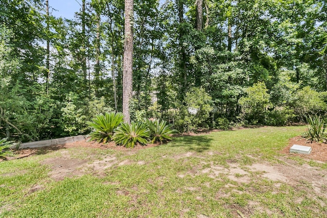 1682 Camfield Ln, Mount Pleasant, SC 29466 - view of grassy yard