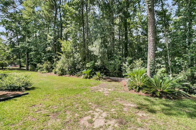 1682 Camfield Ln, Mount Pleasant, SC 29466 - view of grassy yard