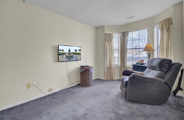 living area featuring carpet floors and a textured ceiling