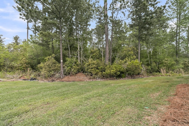 395 Wappoo Trace Ln, Summerville, SC 29486 - view of green lawn