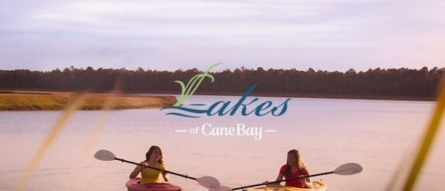 395 Wappoo Trace Ln, Summerville, SC 29486 - water view with a forest