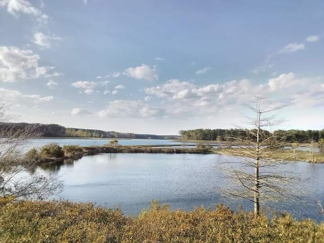 395 Wappoo Trace Ln, Summerville, SC 29486 - water view