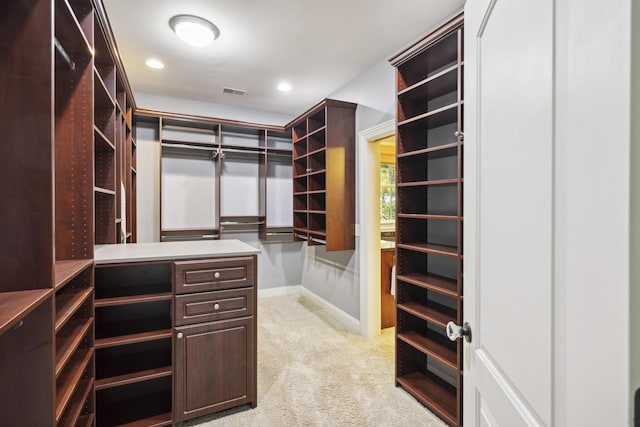 2206 Weepoolow Trl, Charleston, SC 29407 - walk in closet featuring light carpet