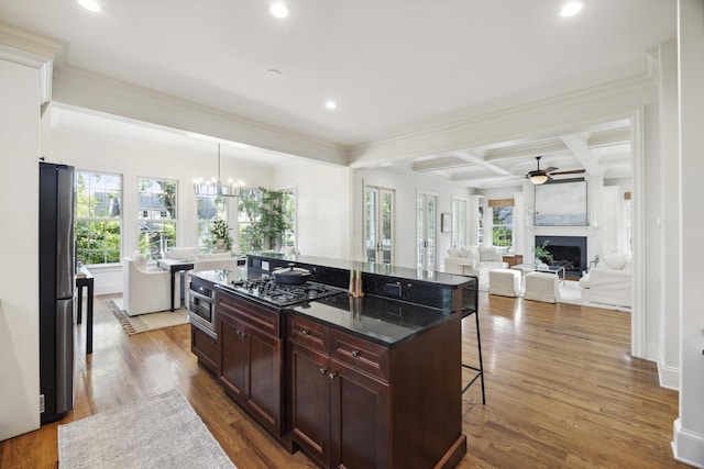 2206 Weepoolow Trl, Charleston, SC 29407 - kitchen featuring stainless steel appliances, healthy amount of natural light, a kitchen breakfast bar, a fireplace, and recessed lighting