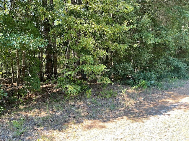 0000 Columbia Rd, Orangeburg SC, 29115 land for sale