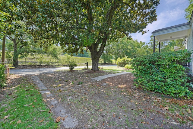 2608 Seymour Ave, North Charleston, SC 29405 - view of yard