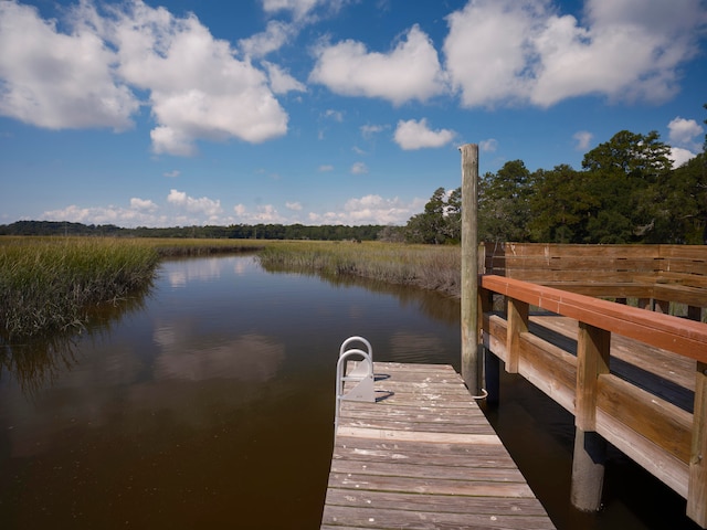 dock area featuring a water view