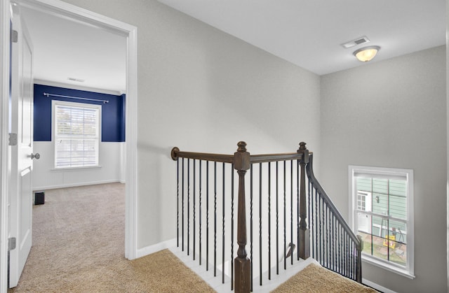 stairway featuring visible vents, baseboards, and carpet