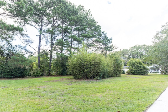 3385 Wayland Dr, Ladson, SC 29456 - view of grassy yard