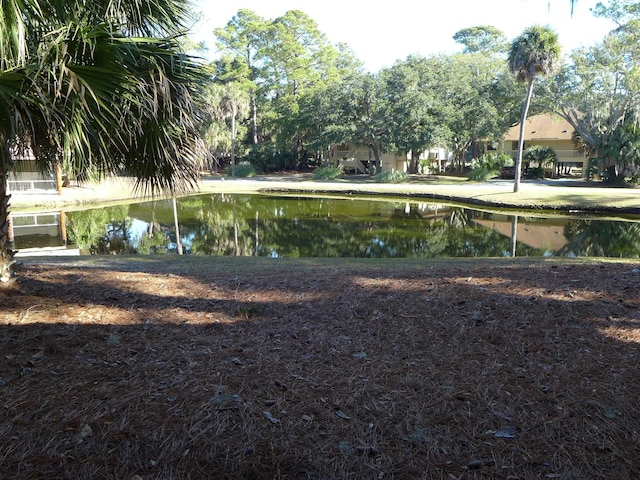 view of yard with a water view