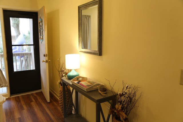 foyer entrance featuring dark wood-type flooring