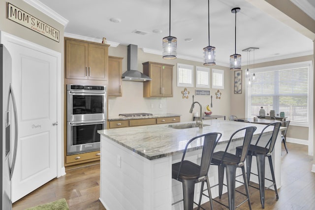 kitchen featuring wall chimney range hood, a healthy amount of sunlight, sink, and appliances with stainless steel finishes