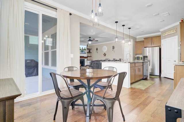 dining space featuring light hardwood / wood-style floors, ceiling fan, sink, and crown molding