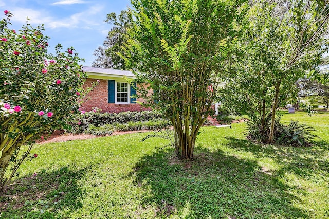7274 Commodore Rd, Hollywood, SC 29449 - view of grassy yard