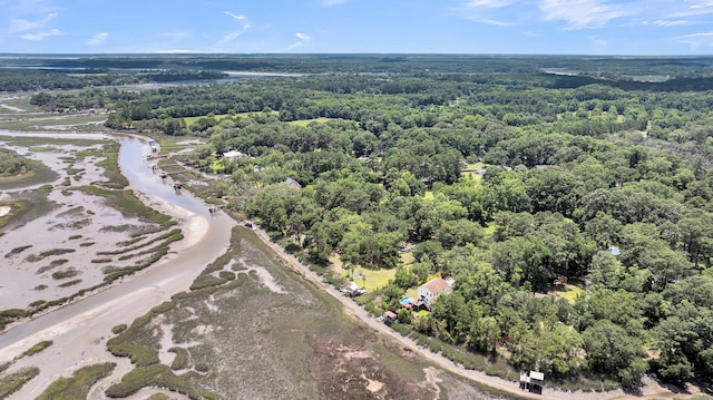7274 Commodore Rd, Hollywood, SC 29449 - bird's eye view of a forest