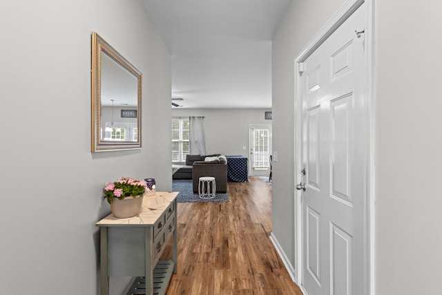 hall with baseboards and dark wood finished floors