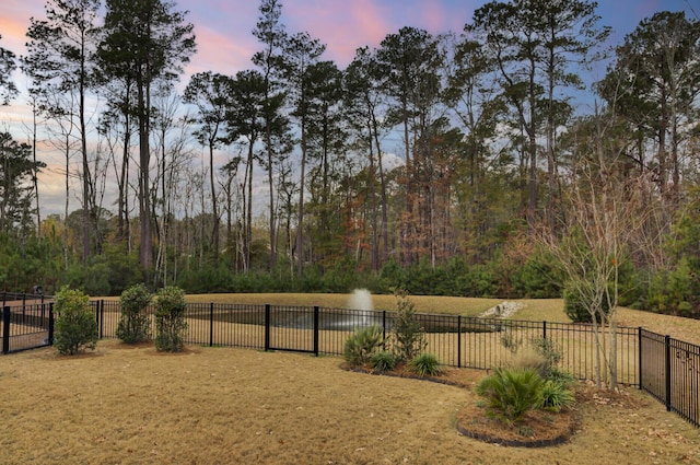 view of yard at dusk