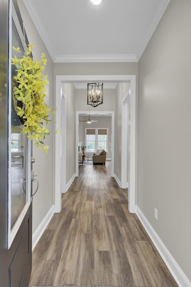 corridor featuring a chandelier, dark hardwood / wood-style flooring, and crown molding