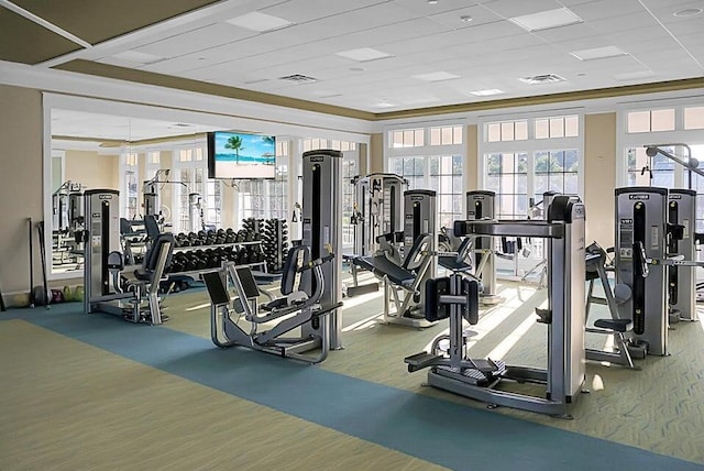 gym featuring a paneled ceiling and carpet