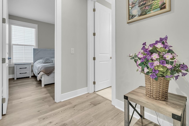 hall featuring light hardwood / wood-style flooring