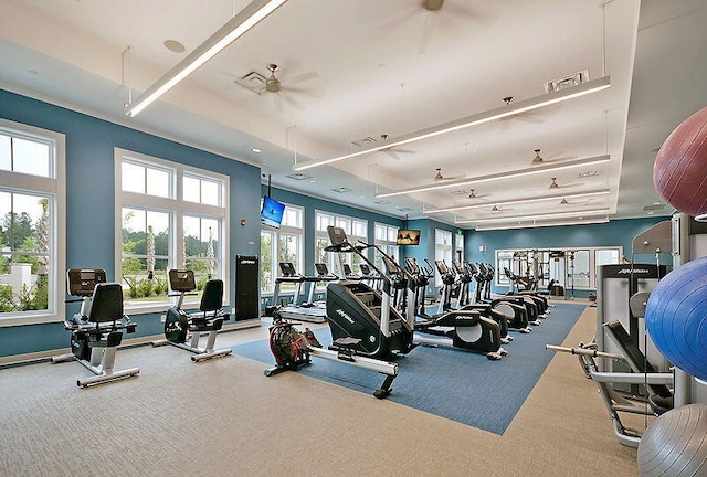 exercise room featuring carpet, ceiling fan, and a healthy amount of sunlight