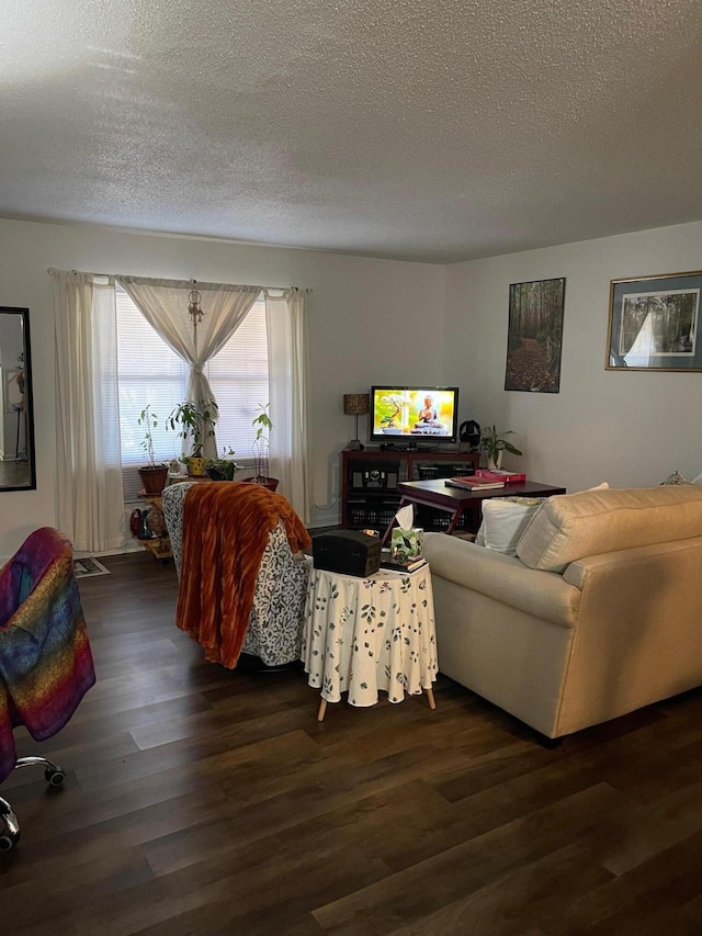 living room with a textured ceiling and dark hardwood / wood-style floors