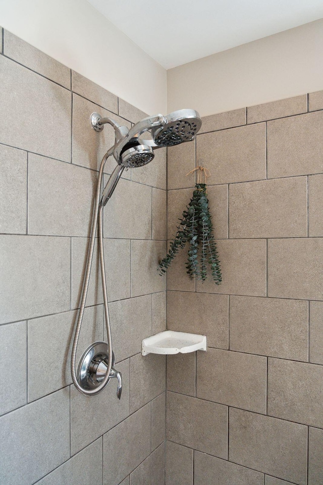 1606 Stovall Ct, Johns Island, SC 29455 - interior details with a tile shower