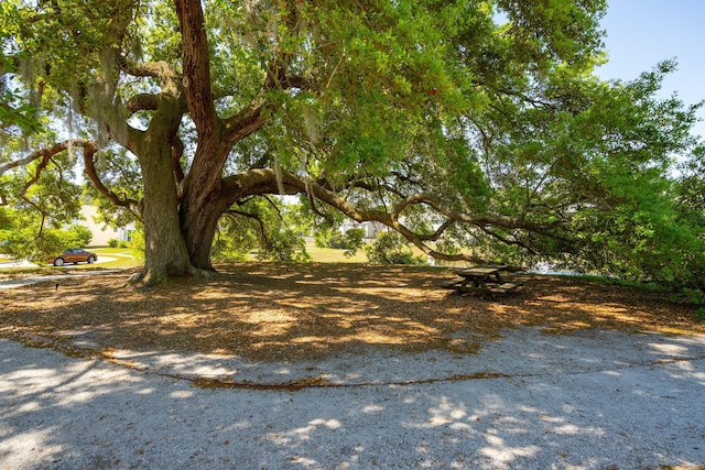 1606 Stovall Ct, Johns Island, SC 29455 - view of yard