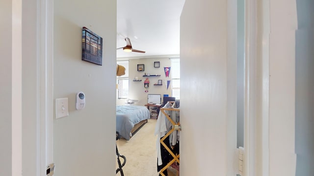 bedroom featuring ceiling fan and carpet flooring