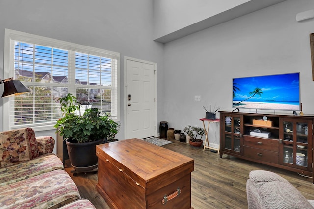 living room featuring dark hardwood / wood-style floors