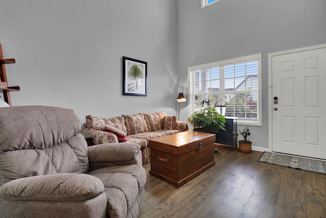 living room featuring dark hardwood / wood-style flooring