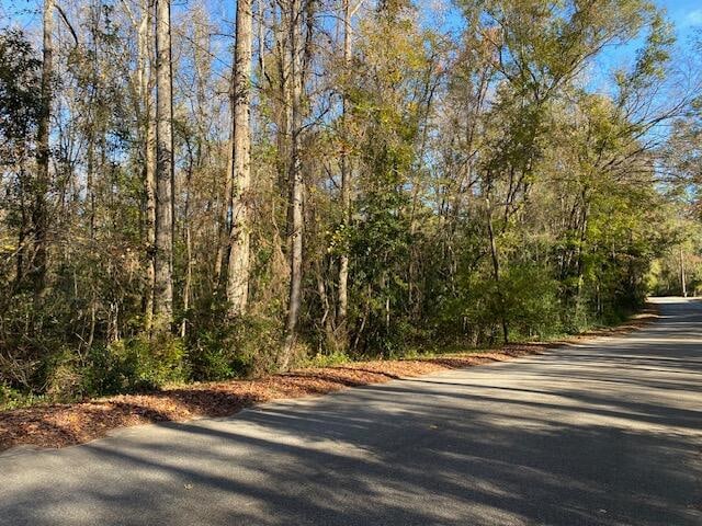 1468 Ireland Hills Dr, Walterboro SC, 29488 land for sale