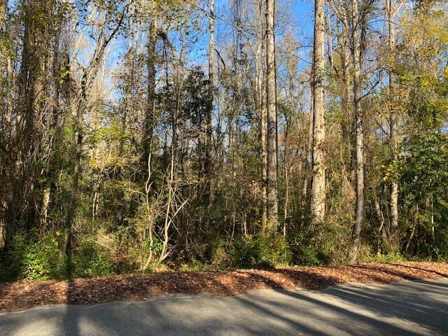 Listing photo 2 for 1468 Ireland Hills Dr, Walterboro SC 29488