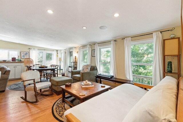 living room with light hardwood / wood-style flooring